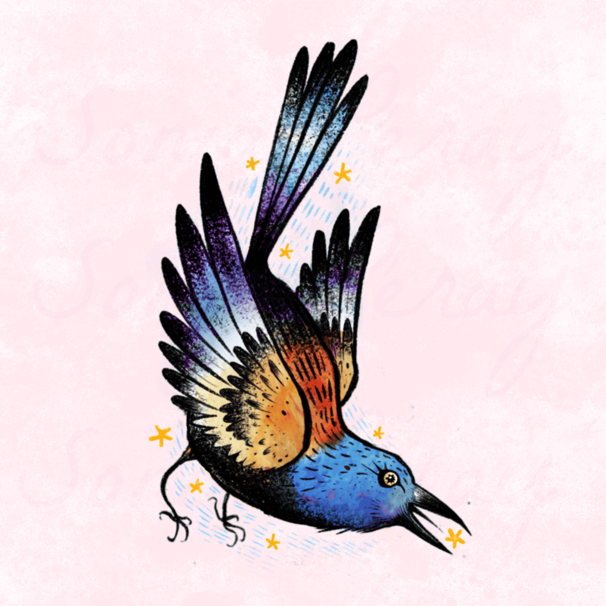 flash tattoo couleur oiseau multicolors qui parade et étoiles, aquarelle